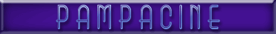 volver a la homepage
