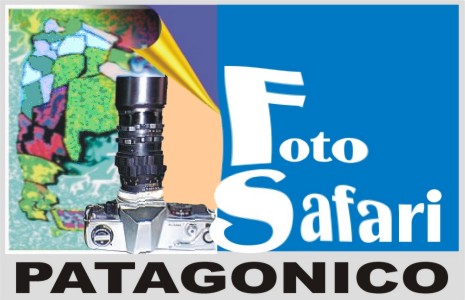 Proyecto de Foto Inventario