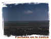 en la ceniza