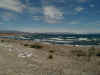 pinos en el lago