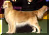 westgolden.jpg (8543 bytes)