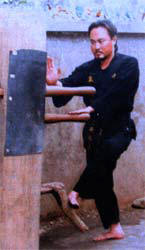 Thai Ba Sao