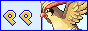 PoK&eacute;MoN PiDgEoT