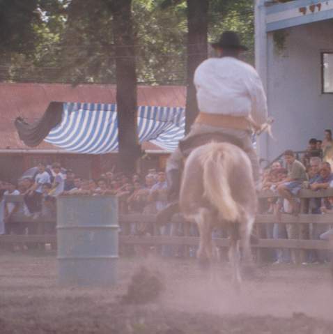 01foto.JPG