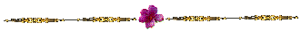 BARRA11amigos.gif (2613 bytes)
