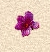 florpapa1.jpg (3104 bytes)