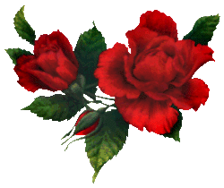 rosaroja.gif (19046 bytes)