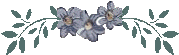 marielbarraaa (3035 bytes)