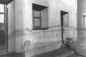 Fotografía