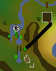 Ape Atoll Course