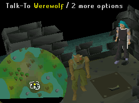Werewolf Agility Course entrance