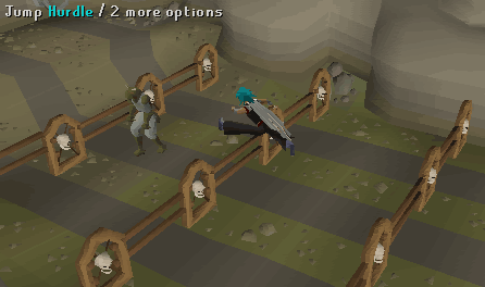 Hurdles