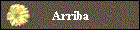 Arriba
