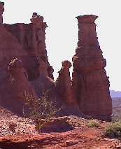 Can de Talampaya