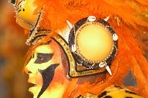 brazil carnival costumes