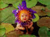 aaaaaaa.jpg (54963 bytes)