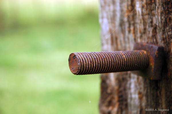 oxido y madera