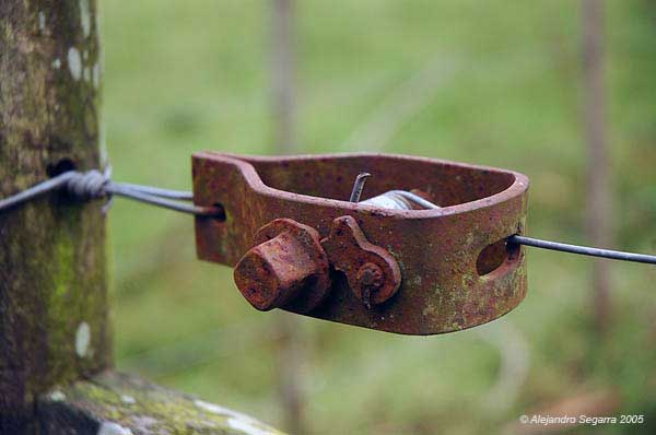 torniquete