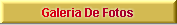 Galeria de Fotos