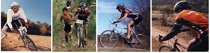 bici01.jpg (36345 bytes)