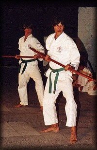 David  y Nicolas en los Premios Chelco 2001