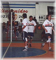 voley1.JPG (20538 bytes)