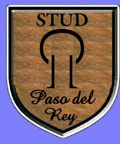 escudo stud