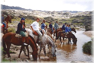 Cabalgata en Los Gigantes