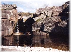 Las Mellisas