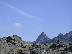 Vista desde Abajo