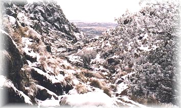 lgnieve02.jpg (42329 bytes)