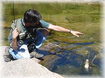 Pesca de Truchas