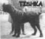 TISHKA