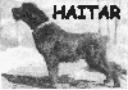 HAITAR