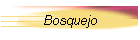 Bosquejo