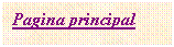 Cuadro de texto: Pagina principal