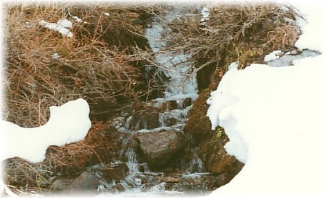Arroyo
