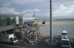 �o����҂�B747�c