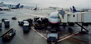 A319�c