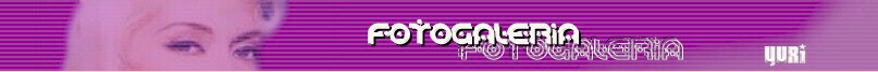 foto_top.jpg (20864 bytes)
