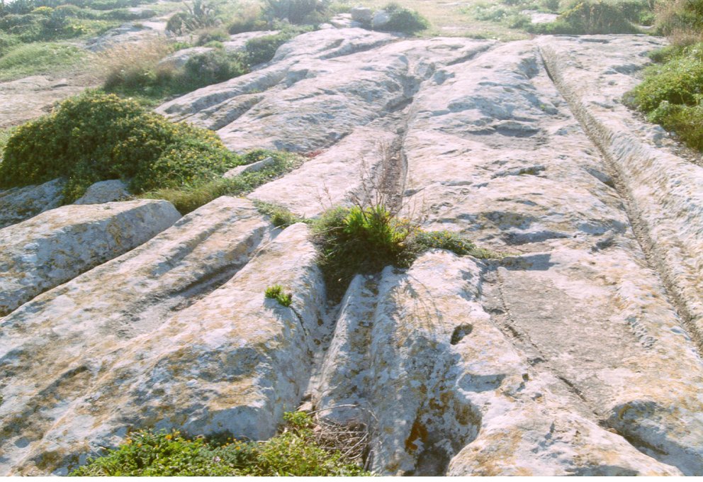 Ta� Cenc Cart-Ruts