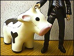 Man's best cow