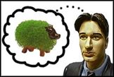 Chia