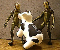 Bovine resistance