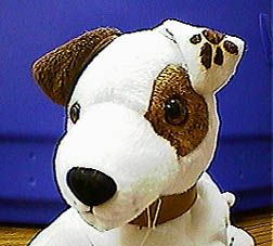 Wishbone