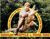 The Crocodile Hunter