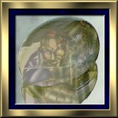 Reflection of Honor-Geijon Khyree