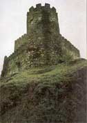 Castelo de Doiras  (Gu�a da Galiza M�xica)