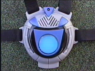 Blue Vest