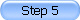 Step 5
